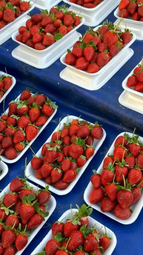 pexels-dilara-haziroglu-2213557-29820197