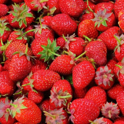 strawberries-528791 1280